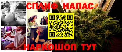 PSILOCYBIN Кимры