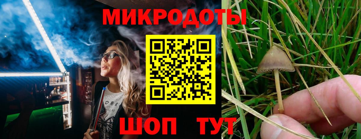 Галлюциногенные грибы MAGIC MUSHROOMS Куйбышев